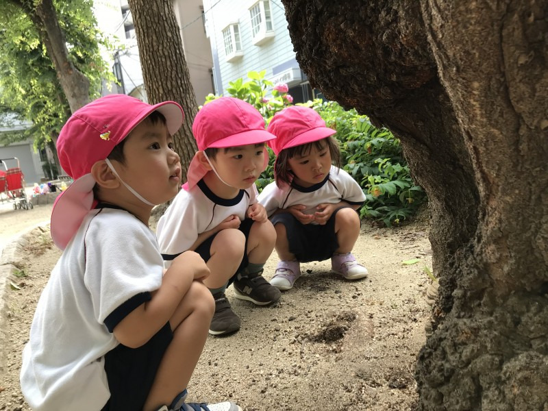 フェアリー保育園　本庄東の写真