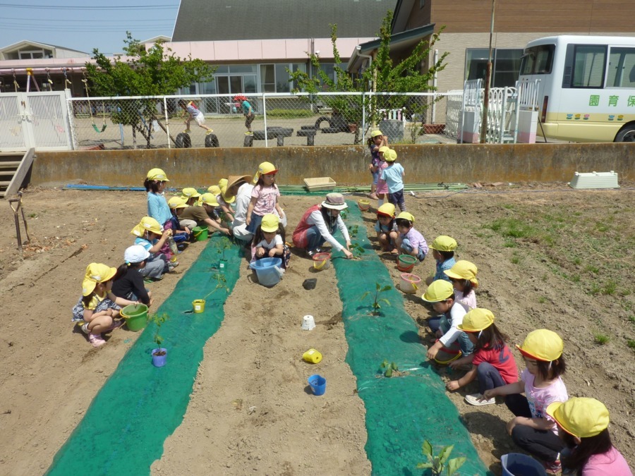 認定こども園若草保育園（保育士の求人）の写真2枚目：