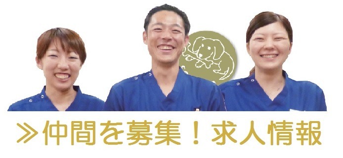 森の風鍼灸接骨院の写真3枚目：