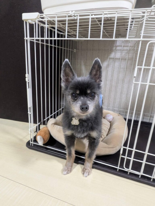 グループホーム　ル シエル伊興の写真