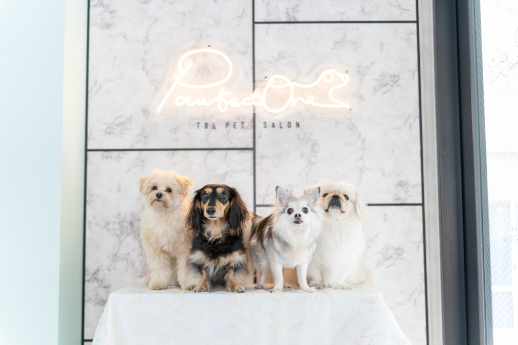 Pawfect One TBL 表参道の写真