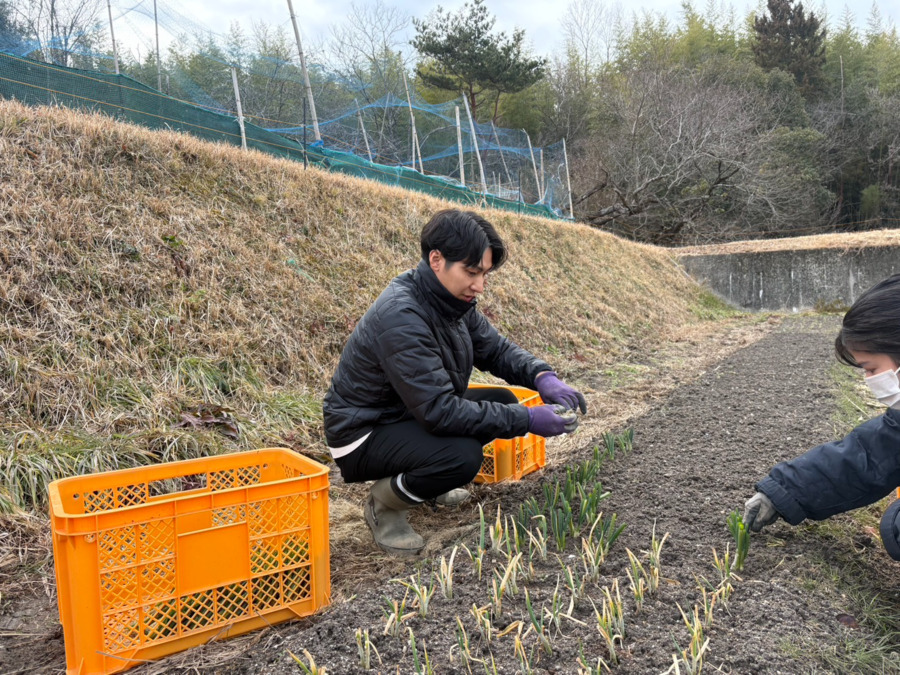 就労継続支援B型事業所 めばえ【2025年秋オープン】(生活支援員の求人)の写真2枚目: