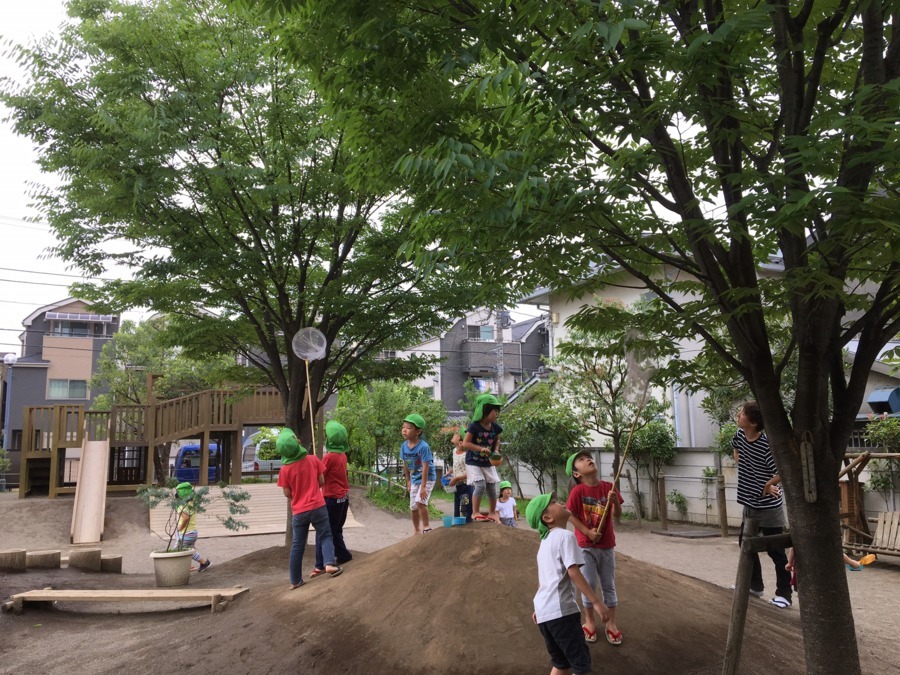 わくわくの森保育園の写真4枚目：
