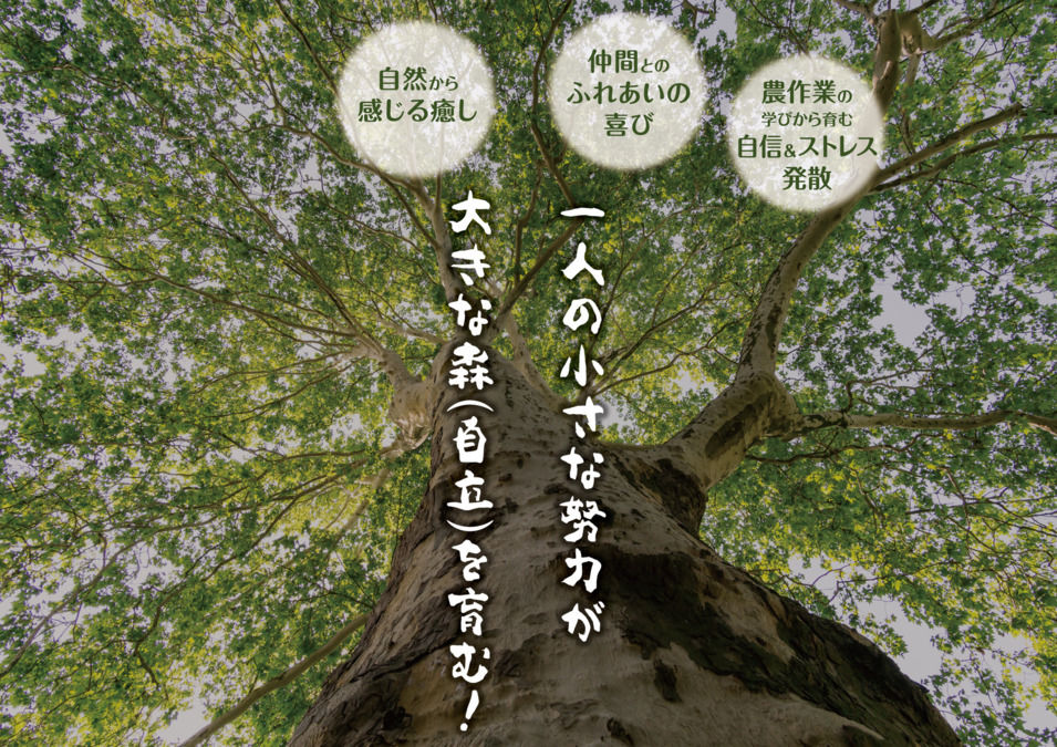 就労支援施設信州ふれあいの森(サービス管理責任者の求人)の写真4枚目: