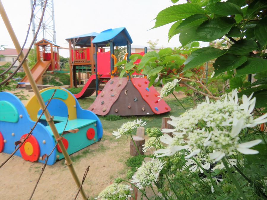 みかんこども園（幼稚園教諭の求人）の写真2枚目：自然たっぷりの園庭です！