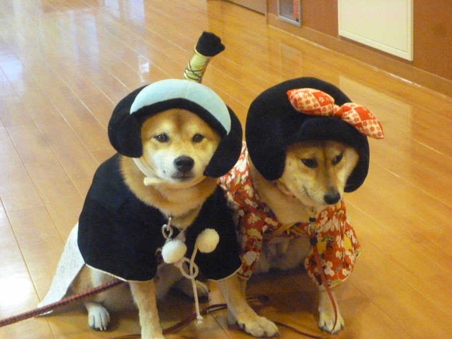 有料老人ホームハーネスト唐崎(看護師/准看護師の求人)の写真1枚目: