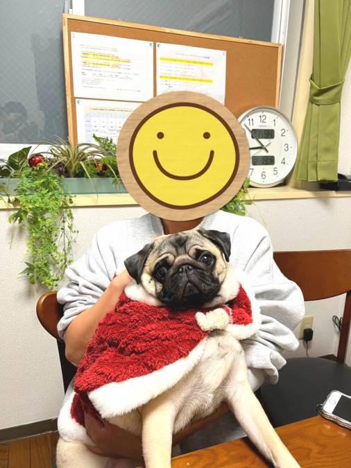 訪問看護ステーション　アクアナース天王寺（看護師/准看護師の求人）の写真9枚目：