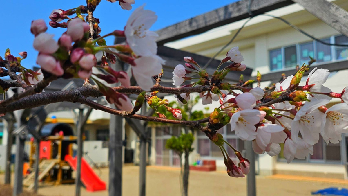 ごしょの保育園の写真1枚目: