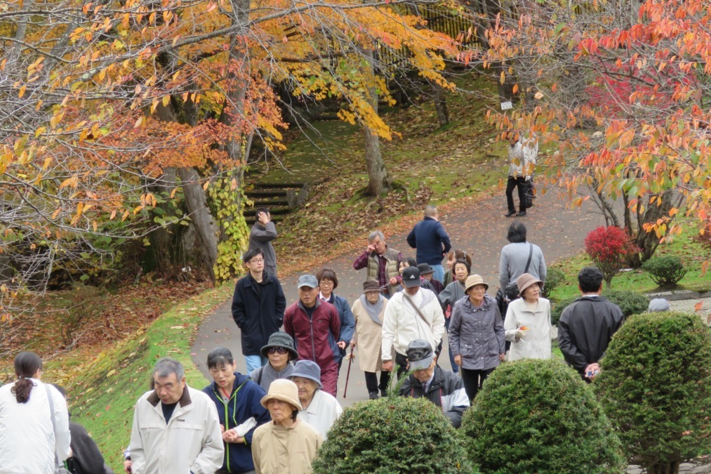 デイサービスセンター ふくろうの森の写真4枚目: