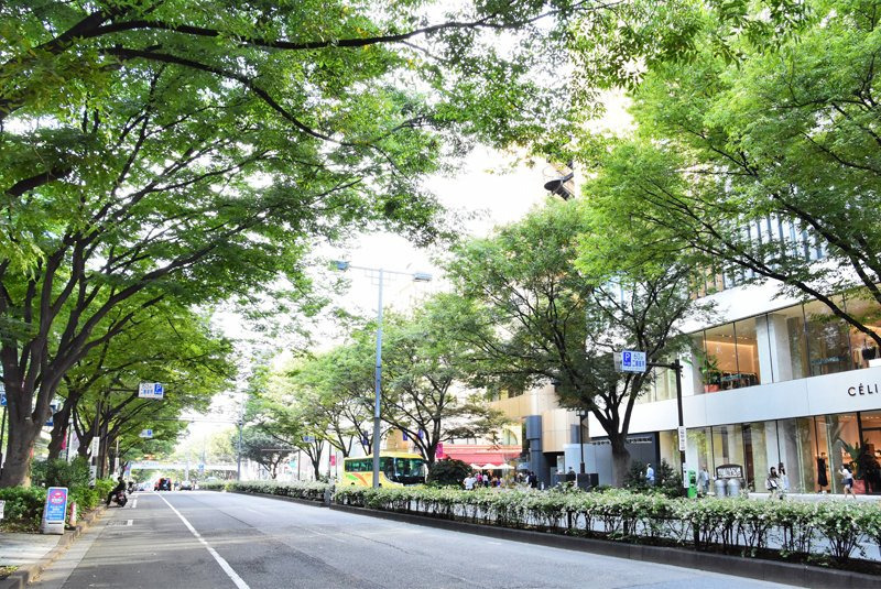 渋谷区にこっと原宿の写真6枚目: