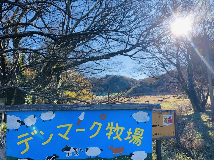 特別養護老人ホーム ディアコニア（介護職/ヘルパーの求人）の写真4枚目：
