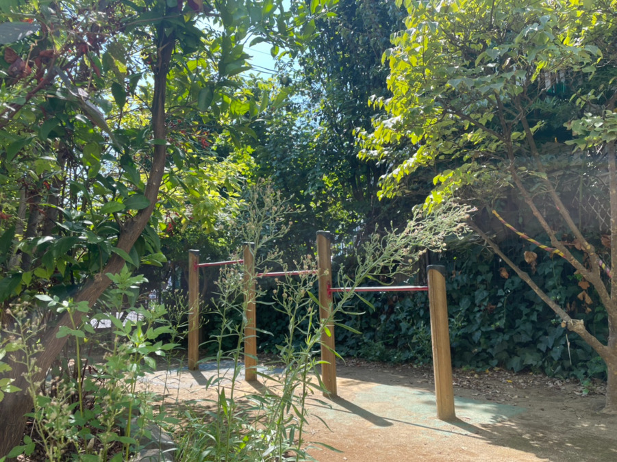 菁莪保育園（保育補助の求人）の写真6枚目：