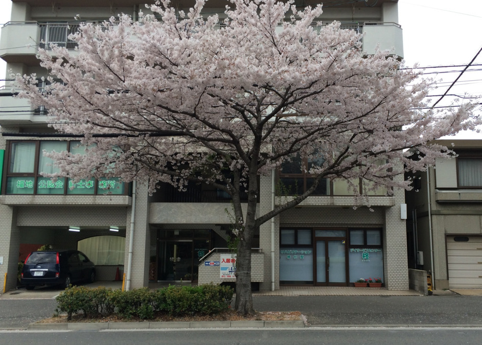 デイサービスセンター柊（理学療法士の求人）の写真4枚目：1階の店舗で営業中。
祇園町のさくら通りが近く、事業所前でも桜を堪能できます。