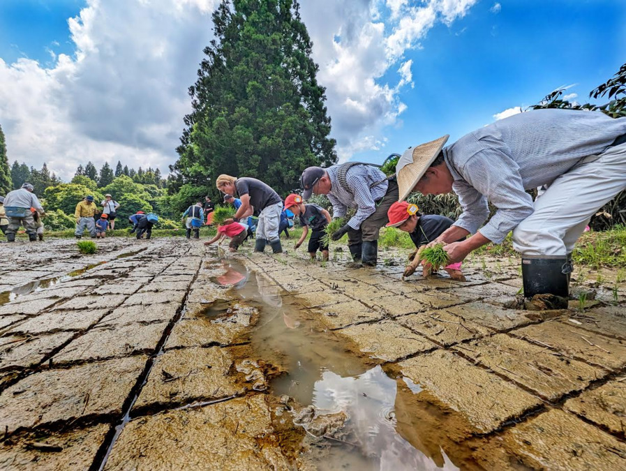 小雀みどり保育園(保育士の求人)の写真2枚目:
