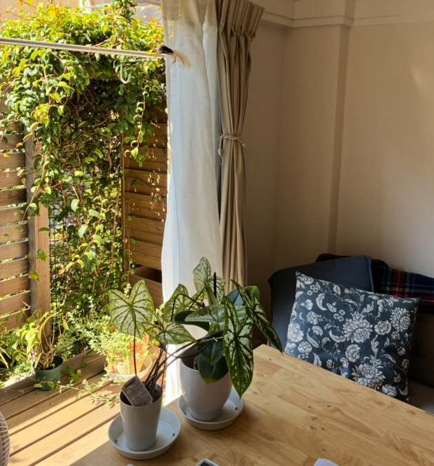 オレンジノート居宅介護支援事業所【2025年04月01日オープン】の写真5枚目：