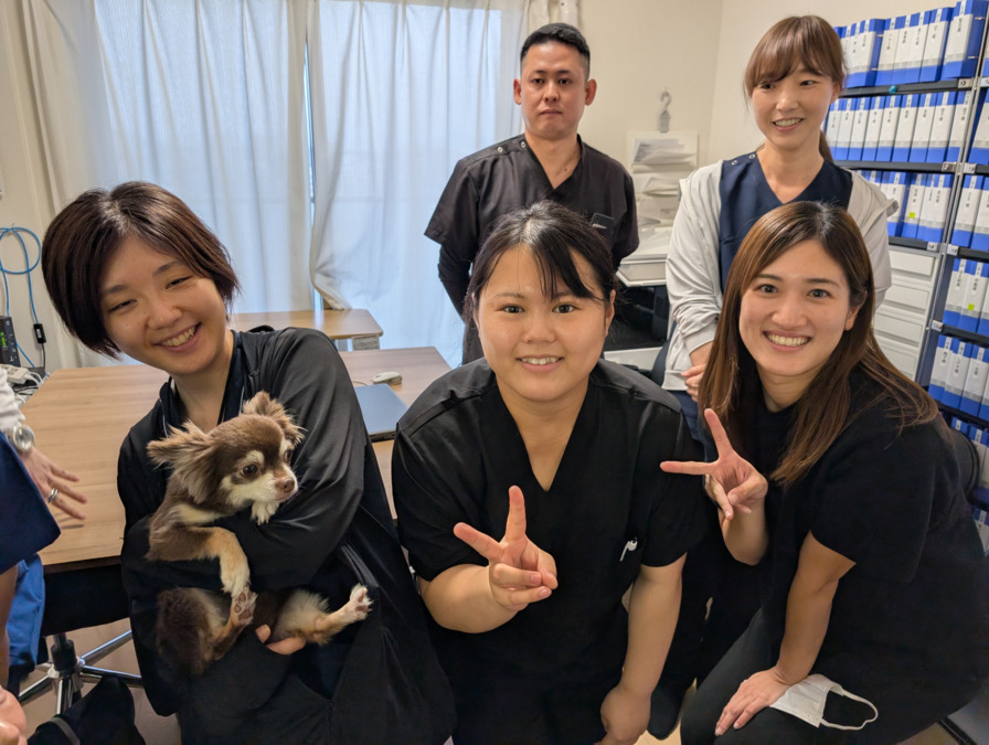 はるいろケアプランの画像