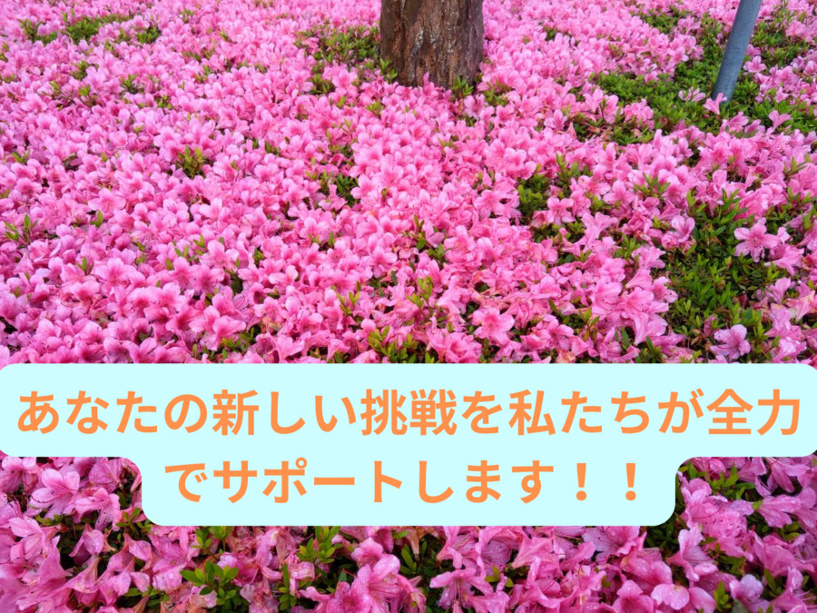 吉田歯科医院（歯科衛生士の求人）の写真4枚目：