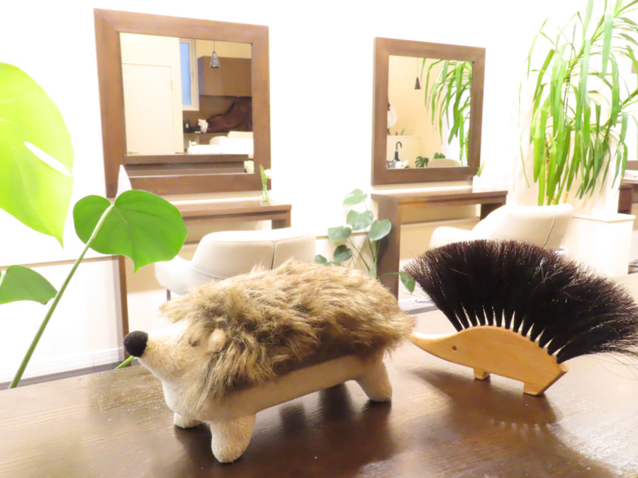 CREDOの写真3枚目：