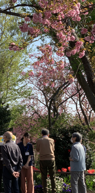 一織庵 菊名（介護職/ヘルパーの求人）の写真9枚目：