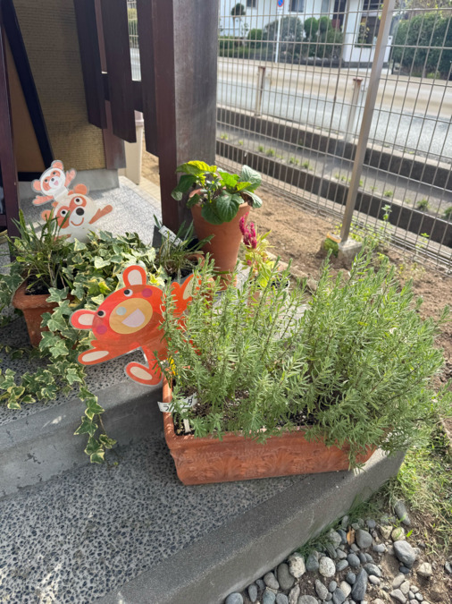 多機能型事業所ふぉるて（保育士の求人）の写真10枚目：花壇は片桐先生が得意なんです。あなたの得意もぜひ、施設で活かしてくださいね！