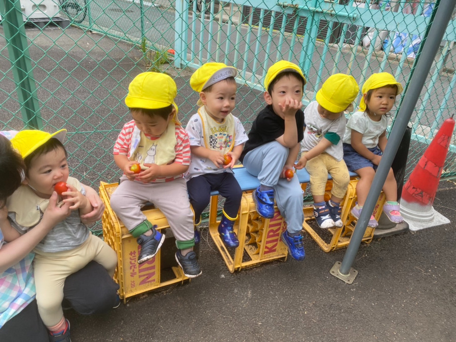 北池袋さくらキッズ保育園（保育士の求人）の写真3枚目：