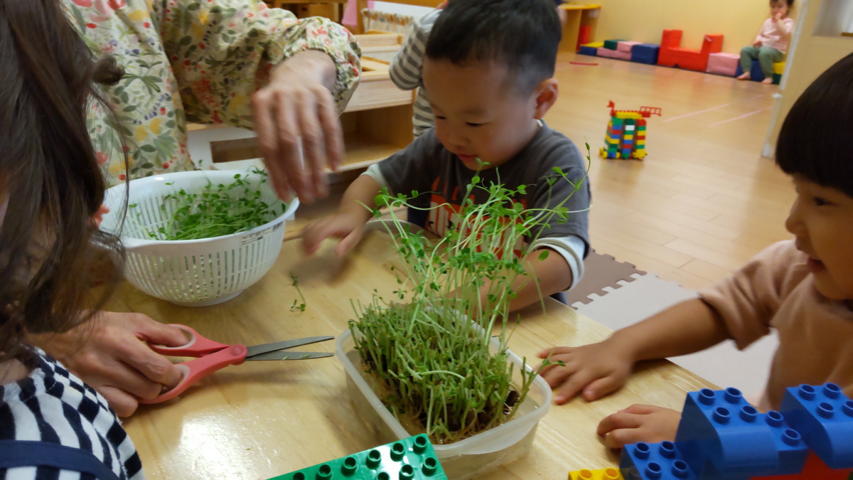 へいわかしの木保育室（保育士の求人）の写真3枚目：