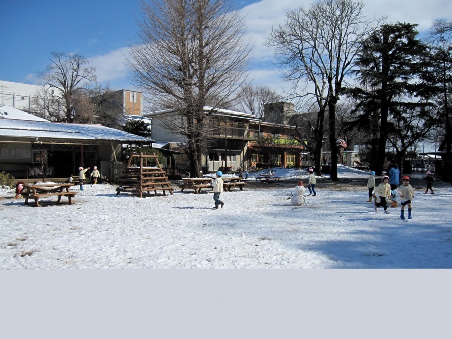 真間山幼稚園の写真3枚目：四季折々の自然の変化は感性を豊かに育む手助けになっています。