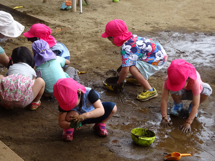 市川梨の花保育園の写真4枚目：市川市内ですが、とても自然豊かな環境です。