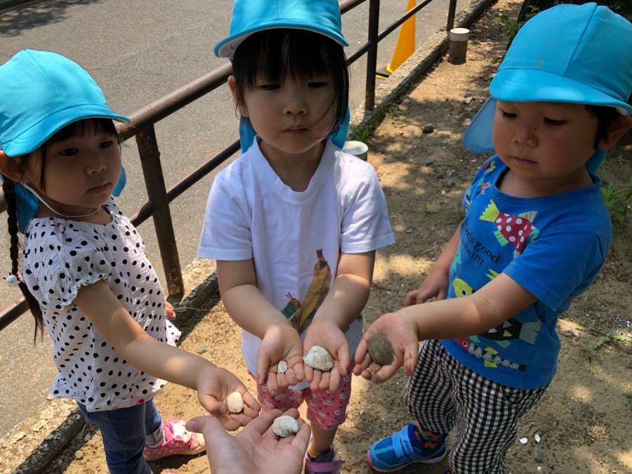 ほしのこ保育園（看護師/准看護師の求人）の写真7枚目：