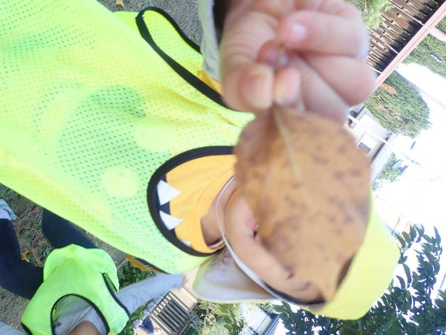 認定こども園岩槻ひかり（保育士の求人）の写真20枚目：