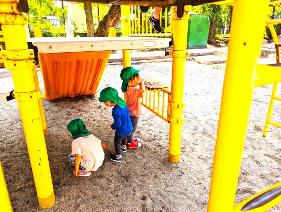 Shiny Kidsアポロンの写真4枚目：