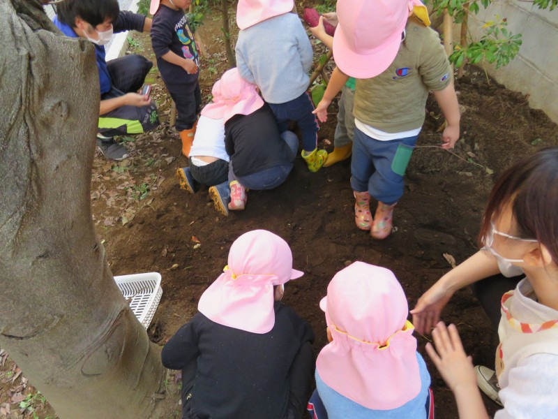 もりのなかま保育園　松ノ木園（看護師/准看護師の求人）の写真4枚目：
