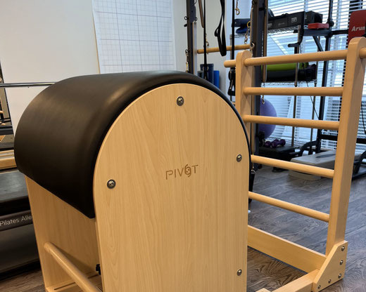 Spine Conditioning Center（作業療法士の求人）の写真3枚目：ラダーバレル