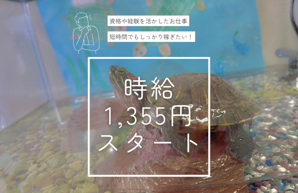 放課後等デイサービス 鶴ヶ峰もえぎ本部（児童指導員/指導員の求人）の写真3枚目：