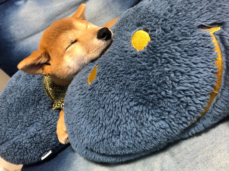 ショートステイあおぞらの写真3枚目: