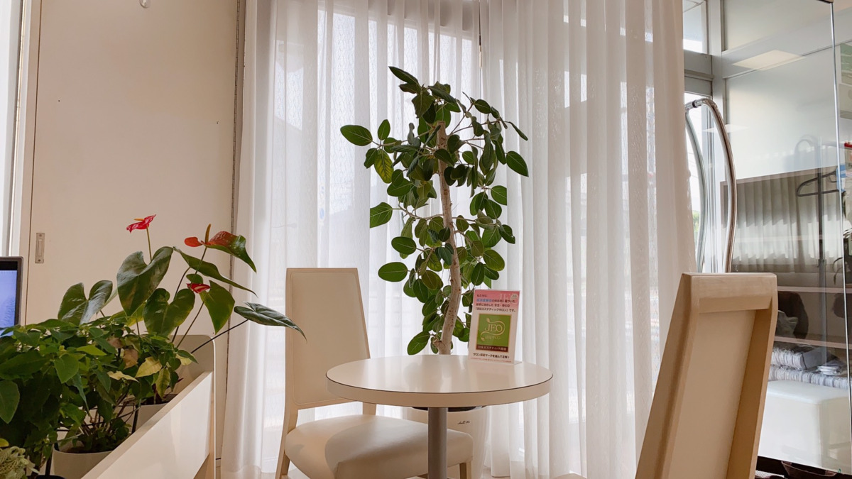 アップルマインド鎌ヶ谷店の写真4枚目: