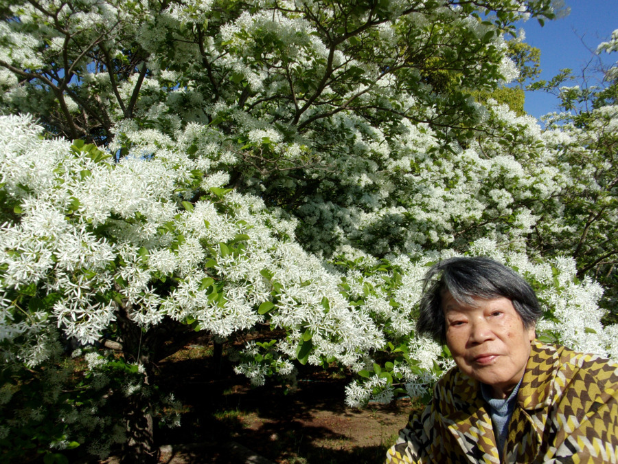 グループホームくもじの写真