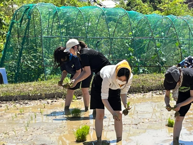 えん発酵温熱木浴横浜店の写真