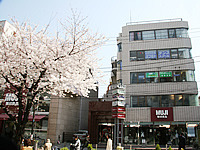 医療法人社団歯生会 真坂歯科医院(医療事務/受付の求人)の写真5枚目:1~2Fは無印良品様が入っています。