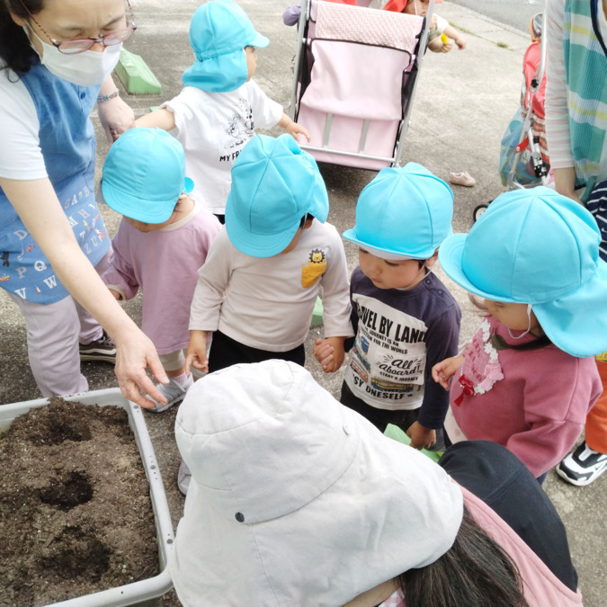 フィリオ長久手（保育士の求人）の写真7枚目：自然に触れる大切さも関わりの中で感じてもらいます＊。