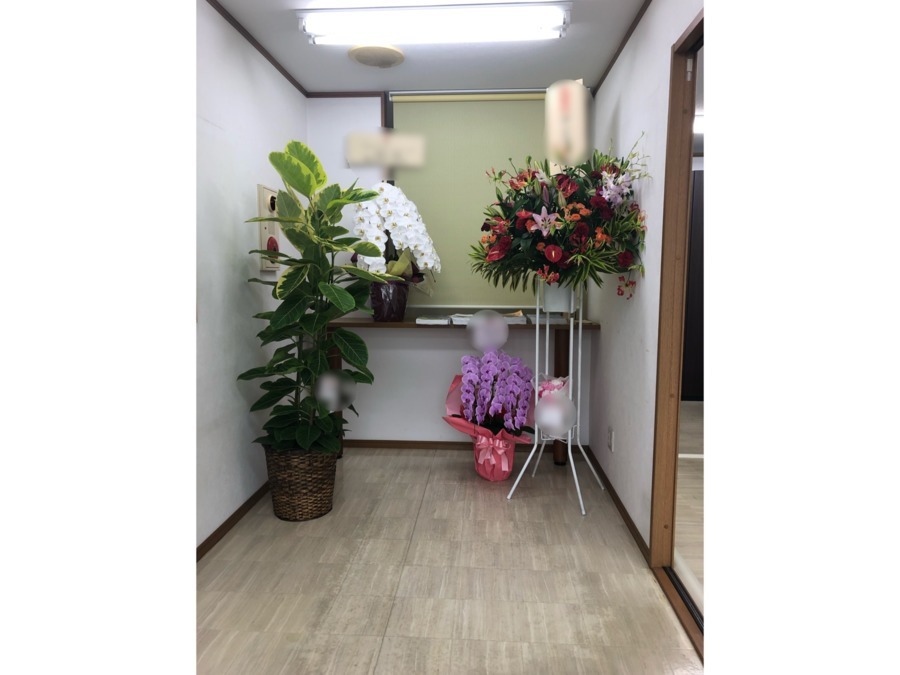 訪問看護ステーション悠友(作業療法士の求人)の写真2枚目:玄関通路。
開設に伴い各所からにお祝いのお花を頂きました。