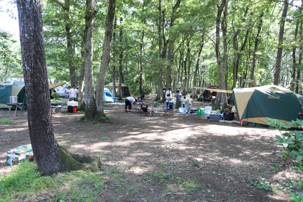 キッズ☆ガーデン奏の杜園（保育士の求人）の写真3枚目：キッズ☆ガーデン名物
春と秋の一泊二日の親子キャンプ