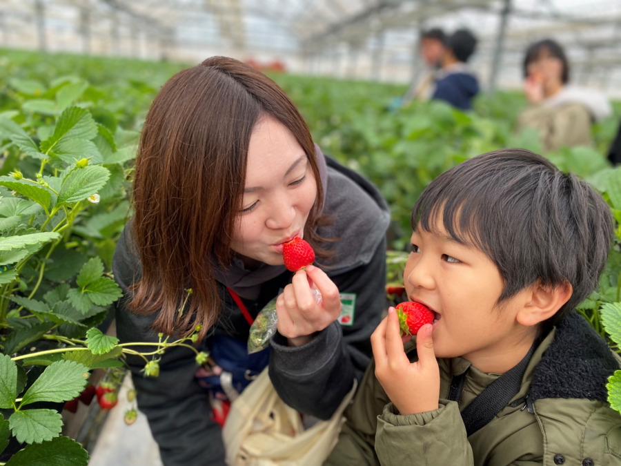 だきしめ愛の家の写真2枚目：「体験・体感・体現」をテーマに楽しい体験を通して、子ども達の成長をサポートします