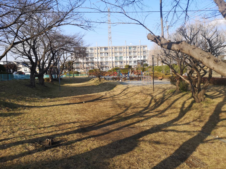 放課後等デイサービスZEST町田の写真9枚目：周辺にはたくさんのお散歩スポットがあります♪