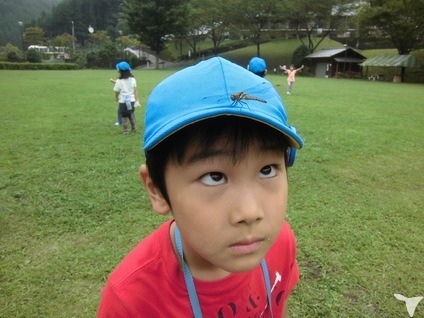 幼保連携型認定こども園共愛館保育園（保育士の求人）の写真2枚目：