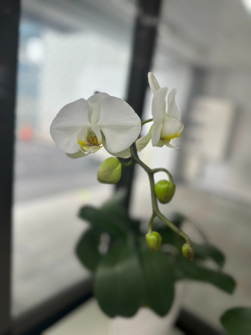 ケアプランセンターひなた吉島の写真5枚目: