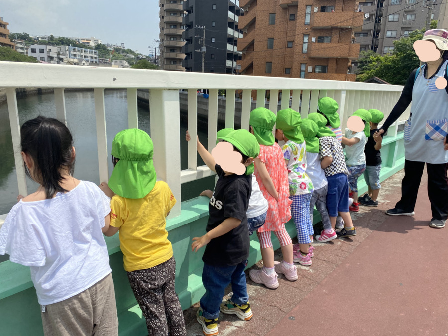 横浜みなみ薫保育園の写真8枚目：おさかなさん泳いでいるよ～
！
