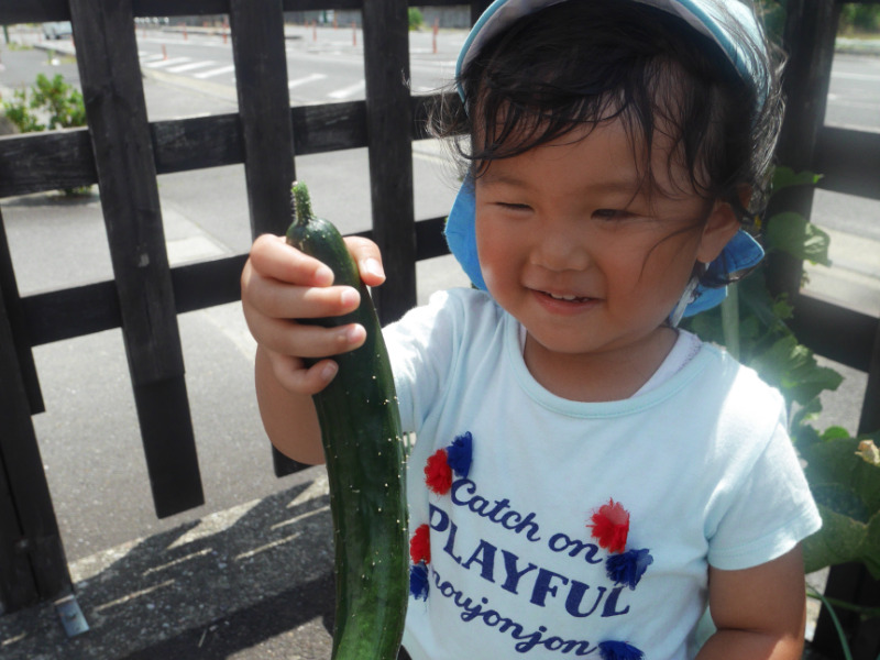ひだまり保育園（保育士の求人）の写真3枚目：