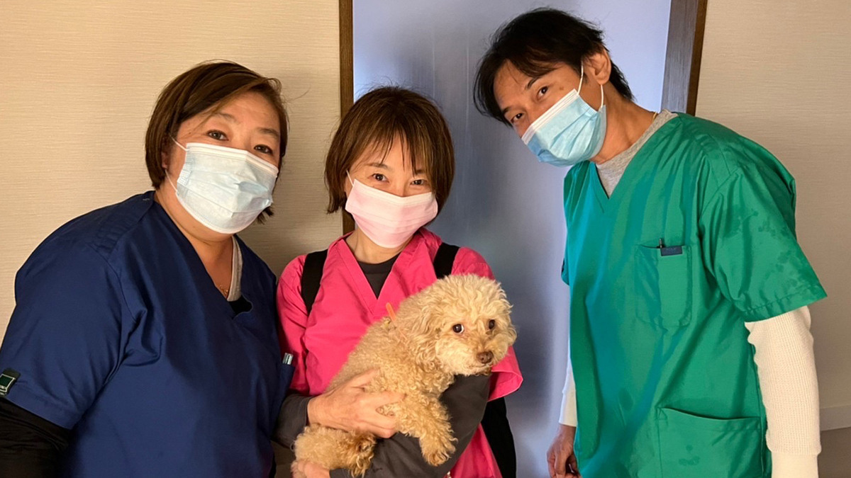 医療法人社団　麻布十番はな歯科（歯科助手の求人）の写真8枚目：