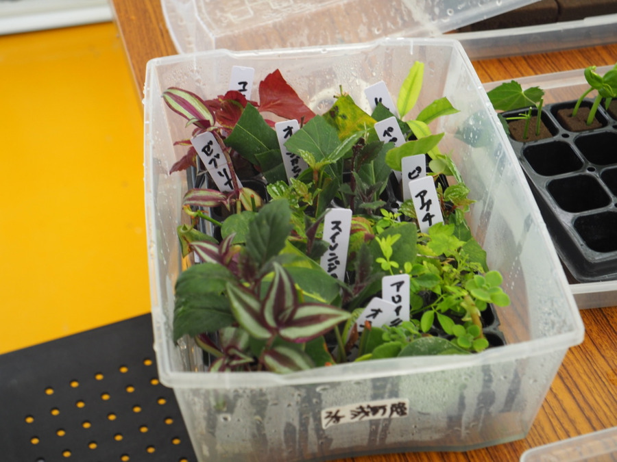 就労継続支援B型事業所アルコ【2026年03月オープン予定】（サービス管理責任者の求人）の写真12枚目：